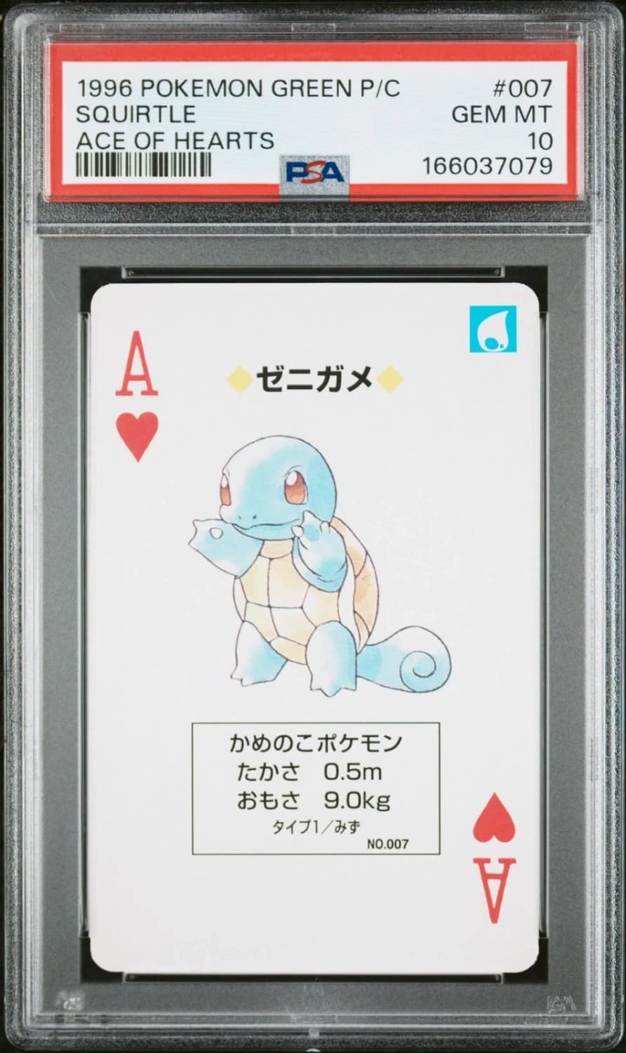 Squirtle