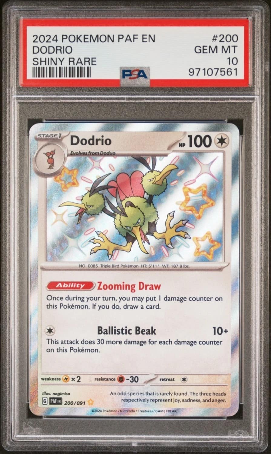 Dodrio