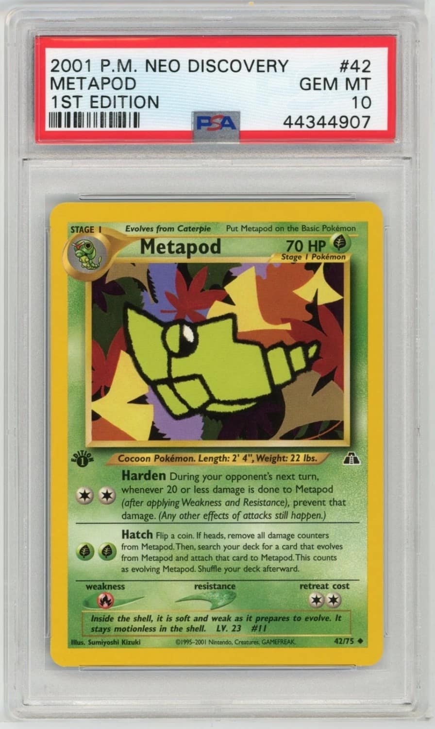 Metapod