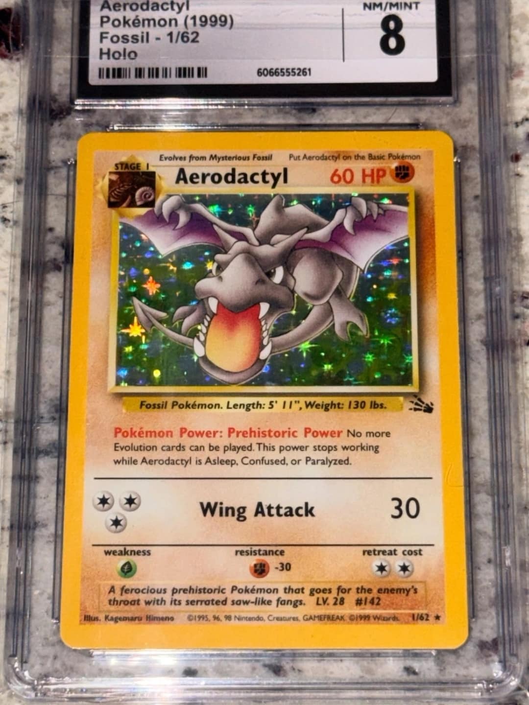Aerodactyl