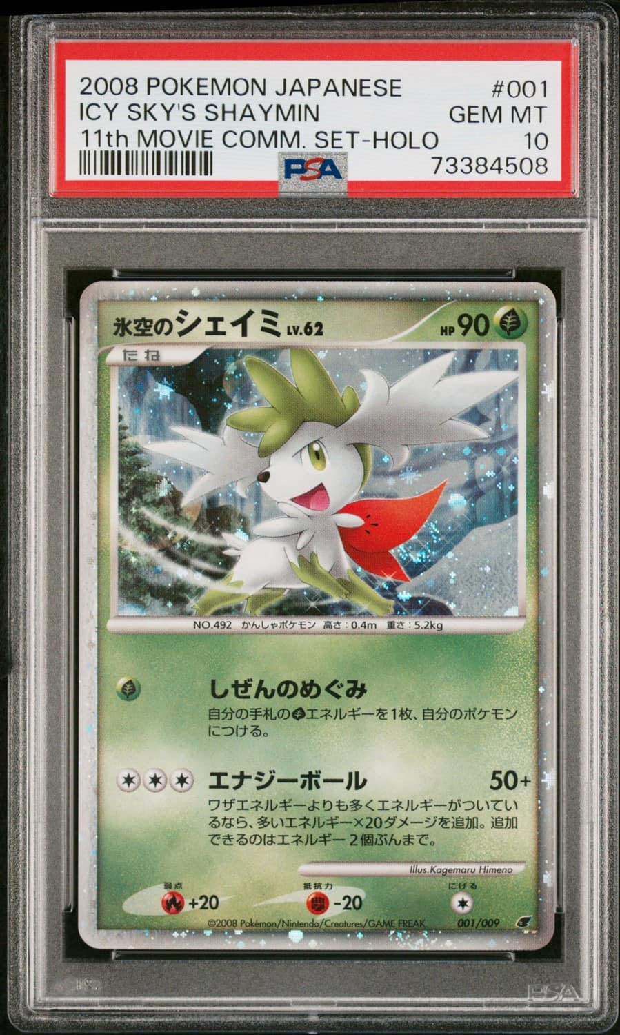 Icy Sky'S Shaymin