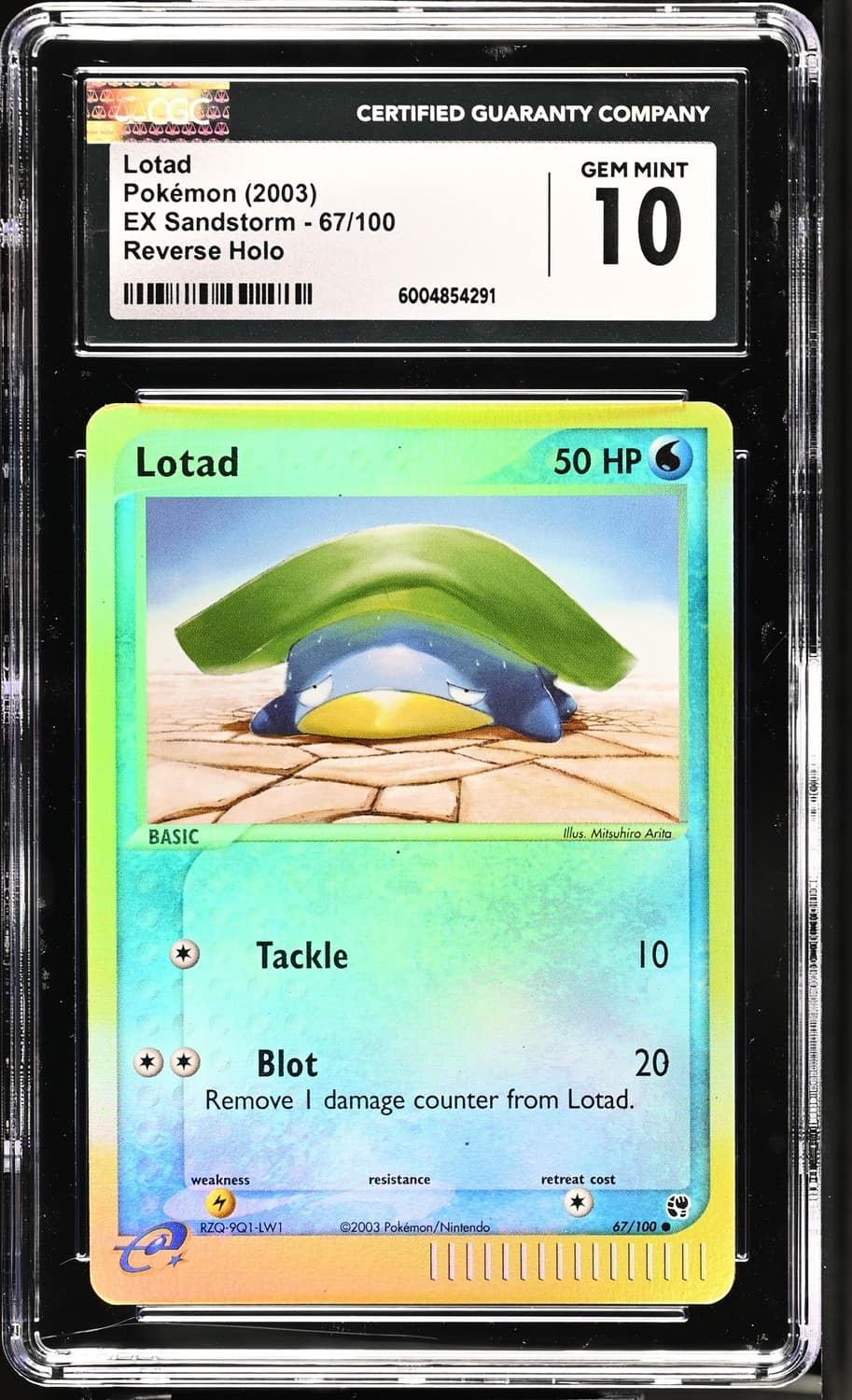 Lotad