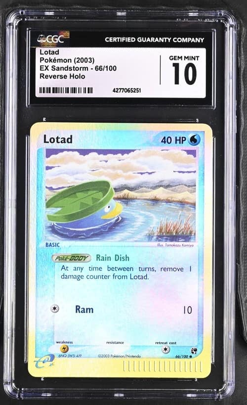 Lotad