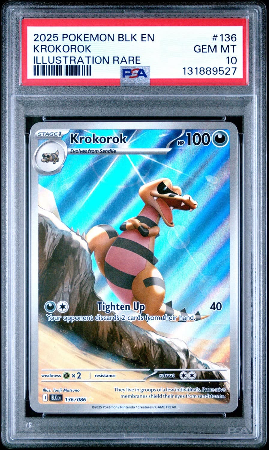 Krokorok