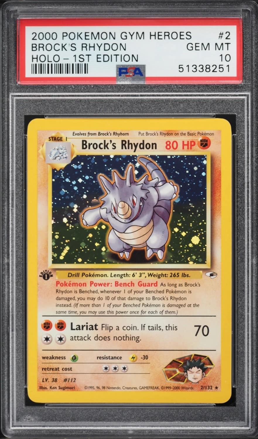 Brock'S Rhydon