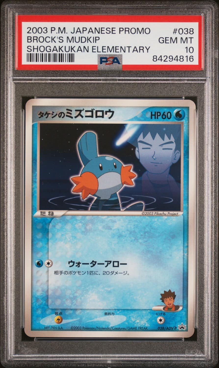 Brock'S Mudkip