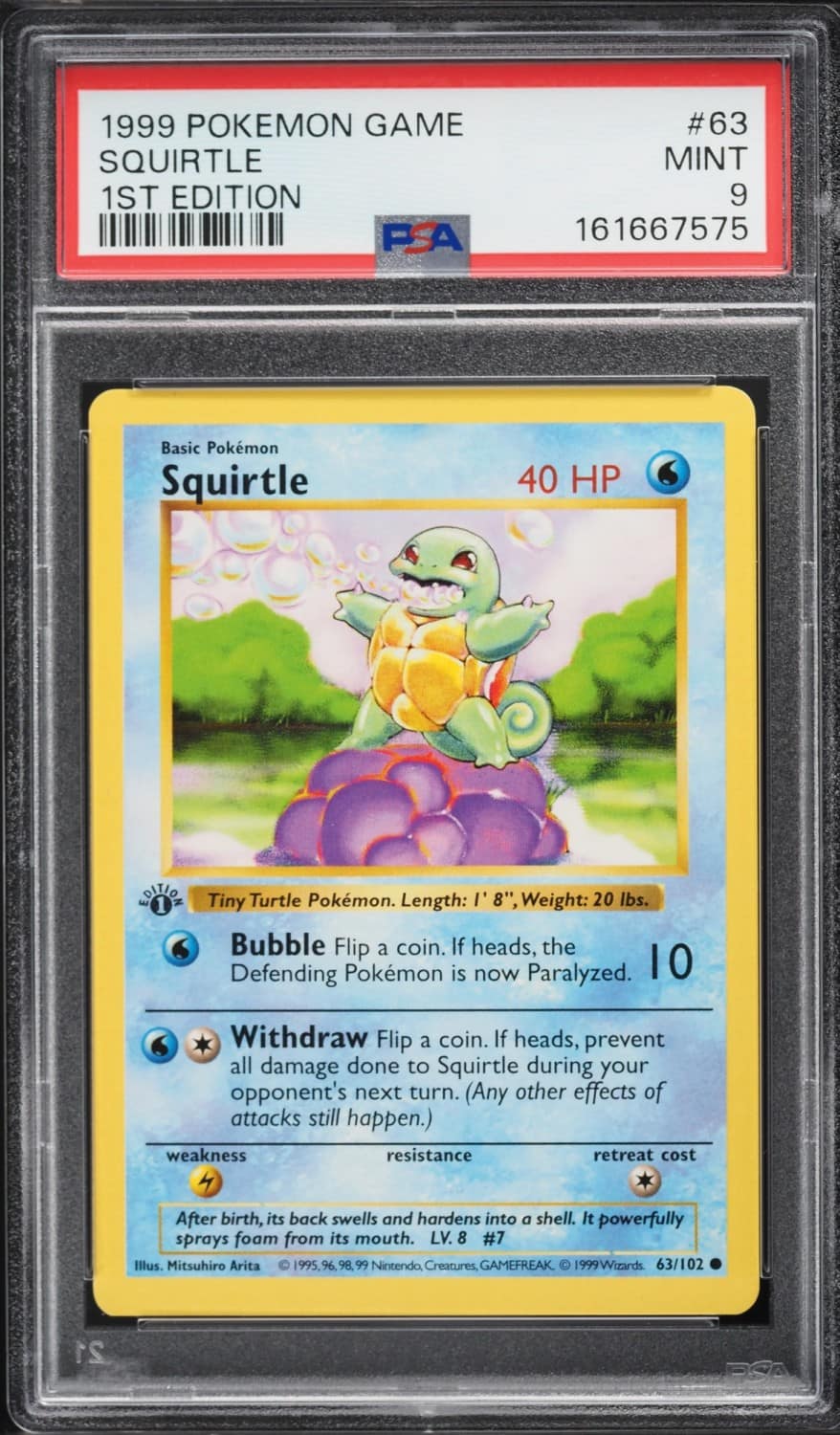 Squirtle
