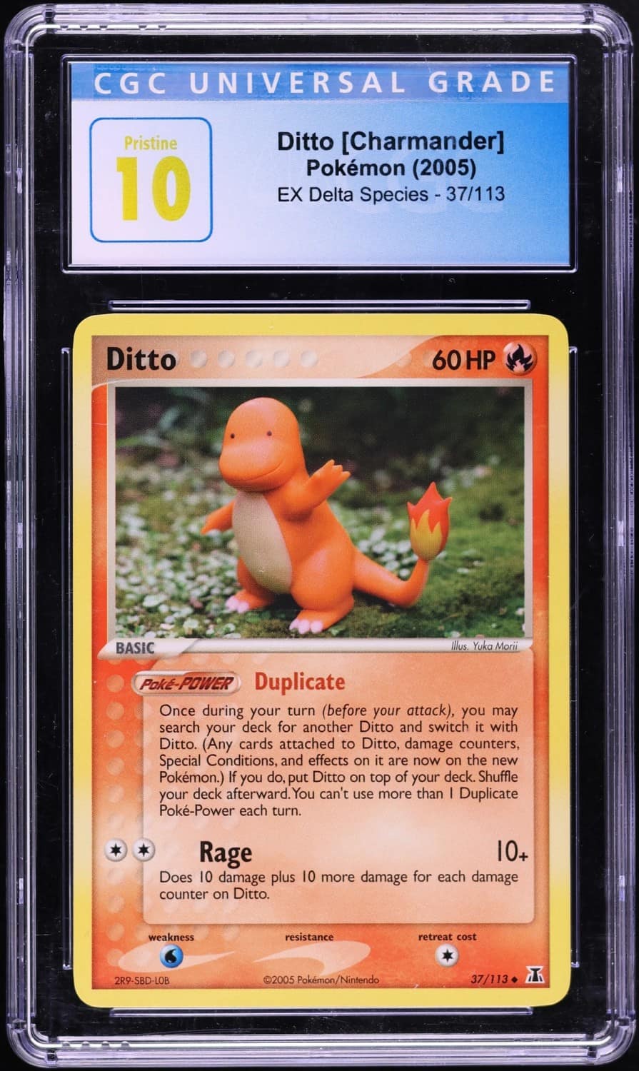 Ditto [charmander]