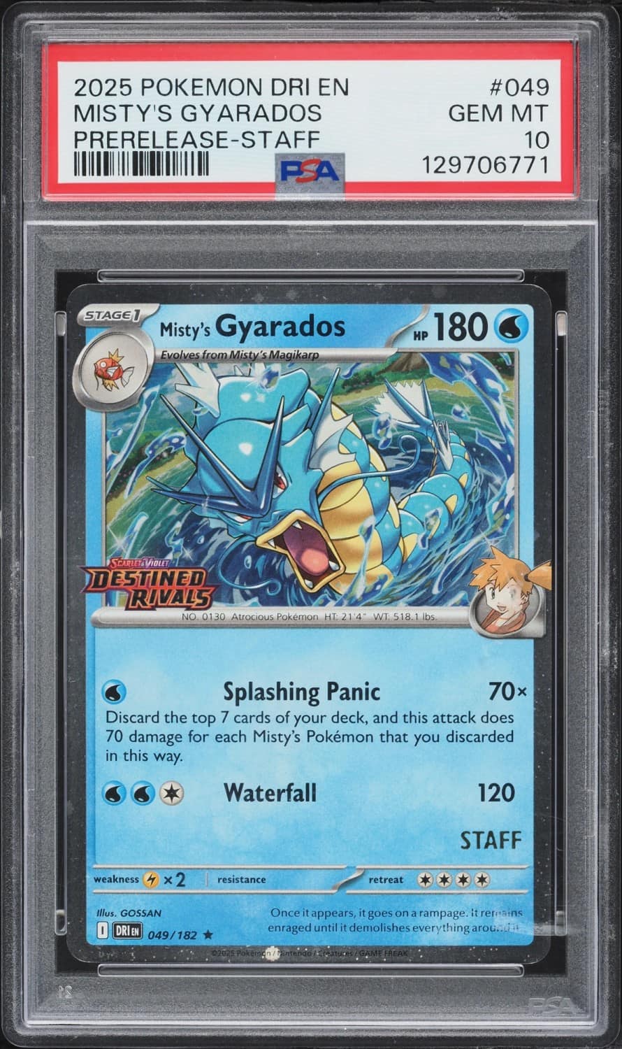 Misty'S Gyarados