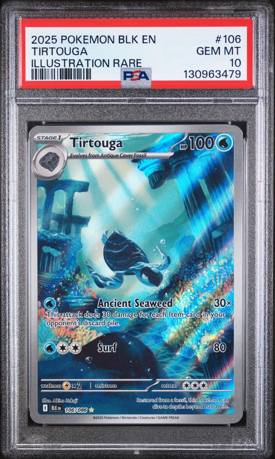 Tirtouga