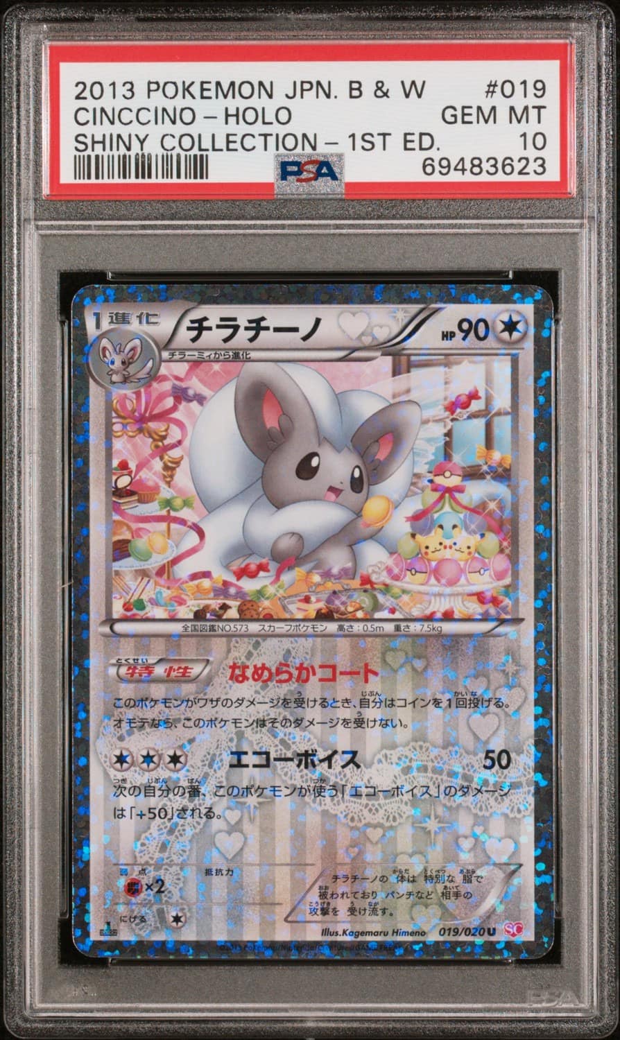 Cinccino