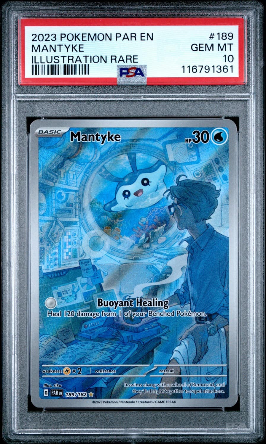 Mantyke