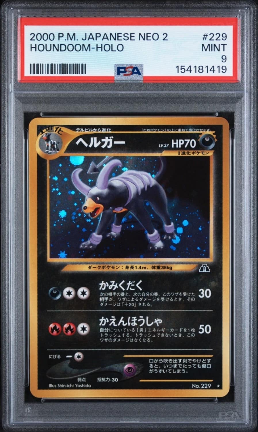 Houndoom