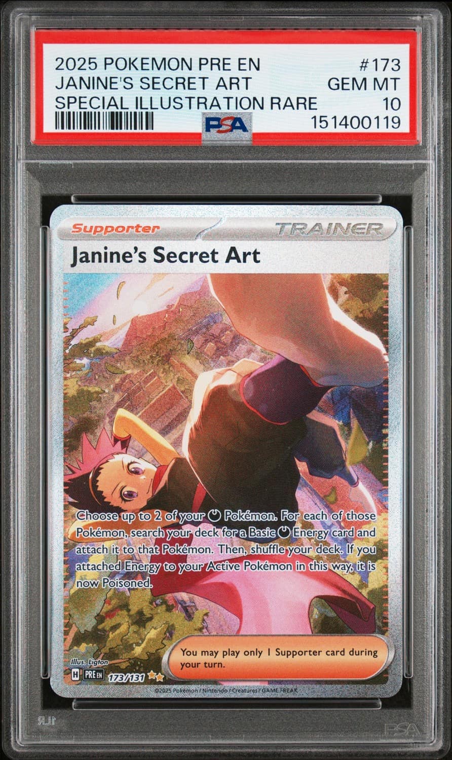 Janine'S Secret Art