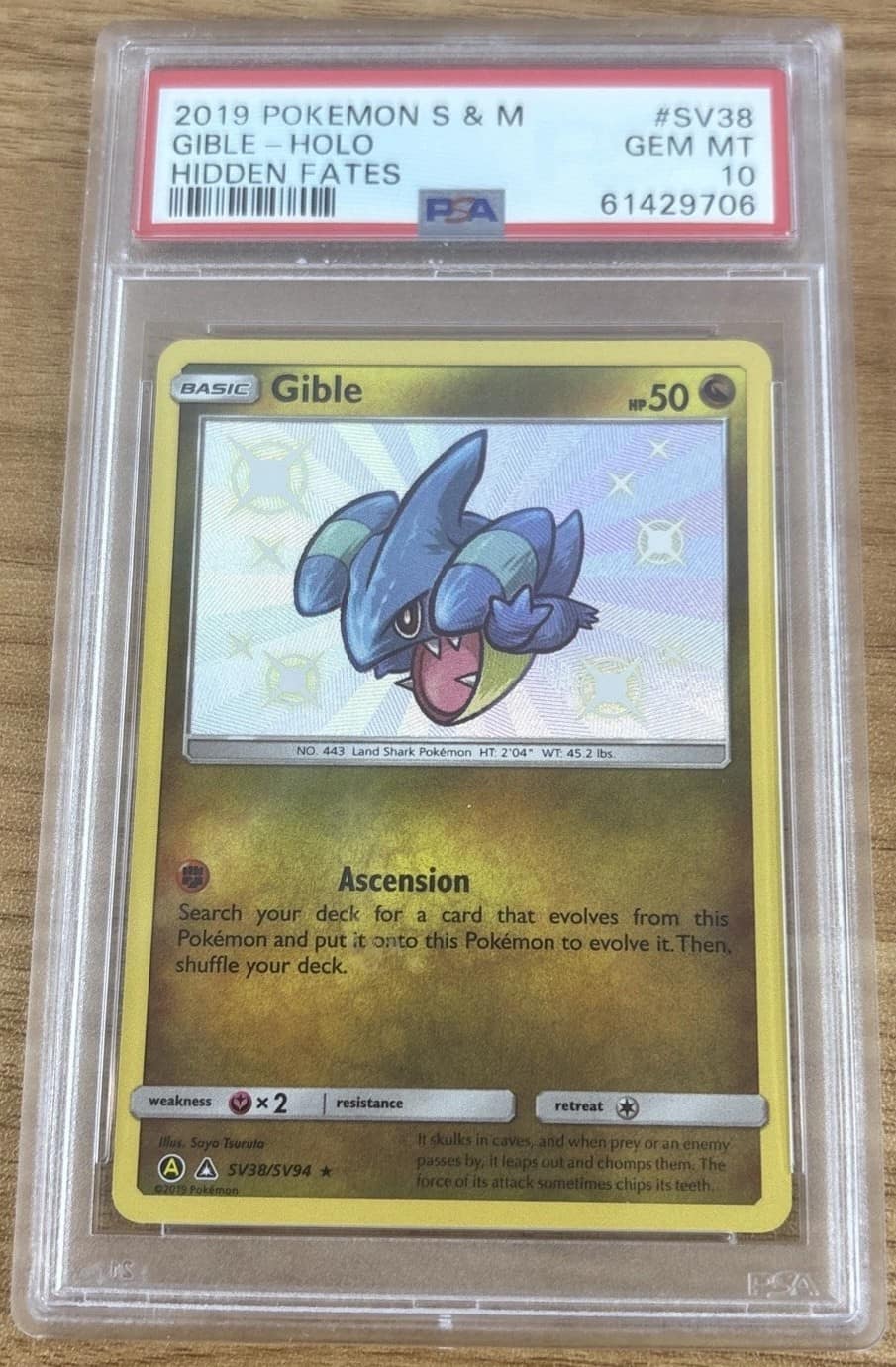 Gible