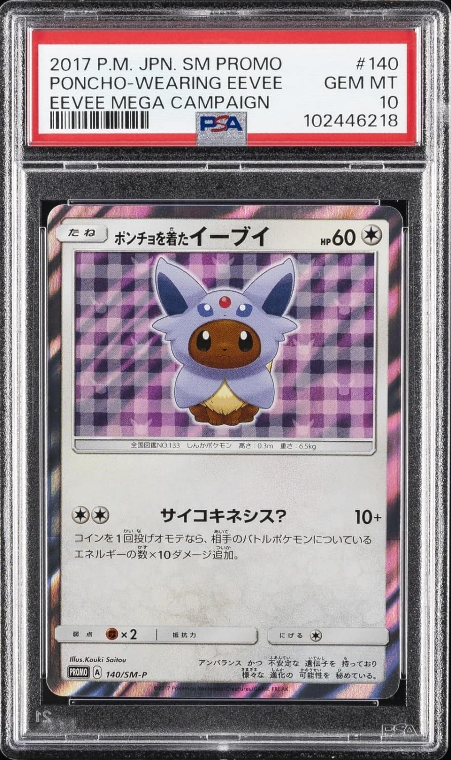 Poncho-Wearing Eevee