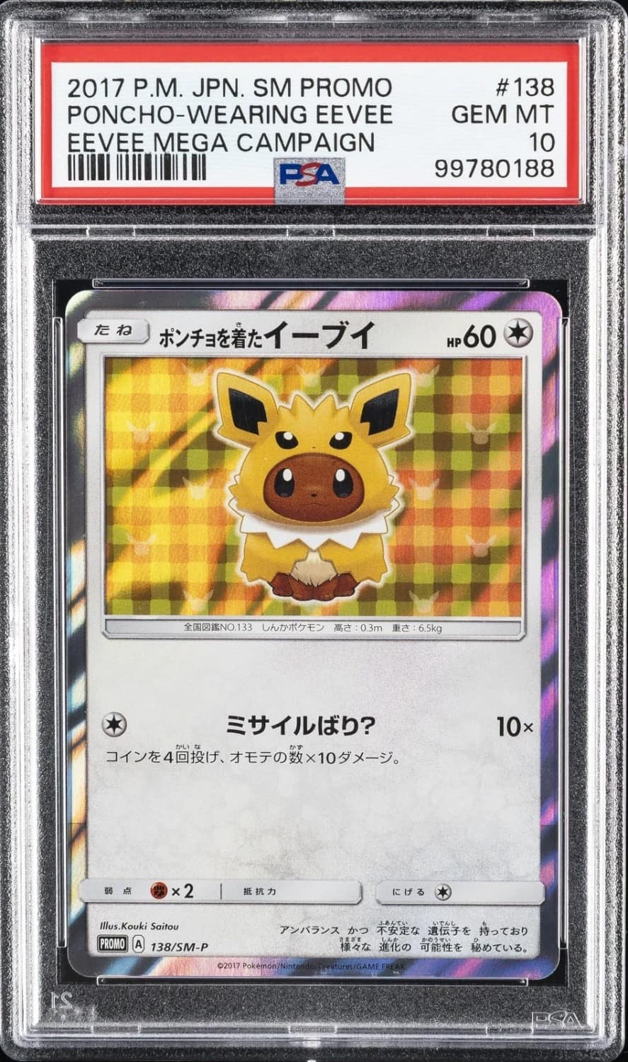 Poncho-Wearing Eevee