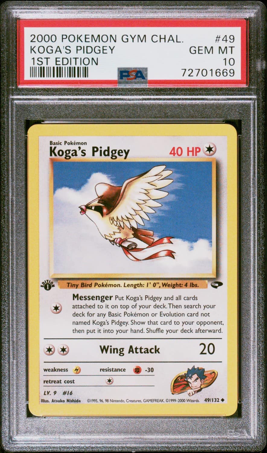 Koga'S Pidgey