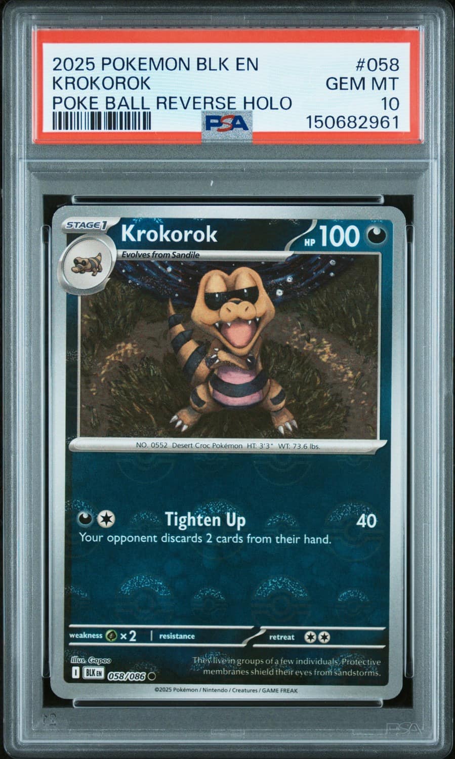 Krokorok