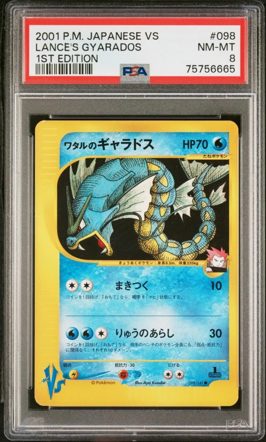 Lance'S Gyarados