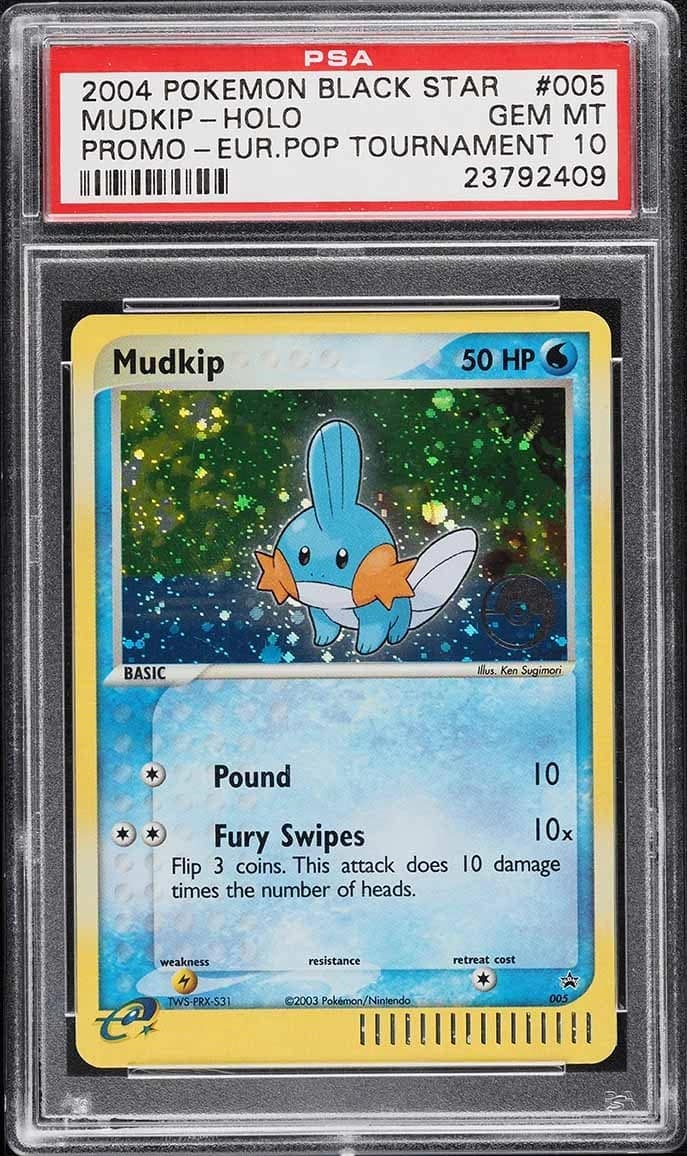Mudkip