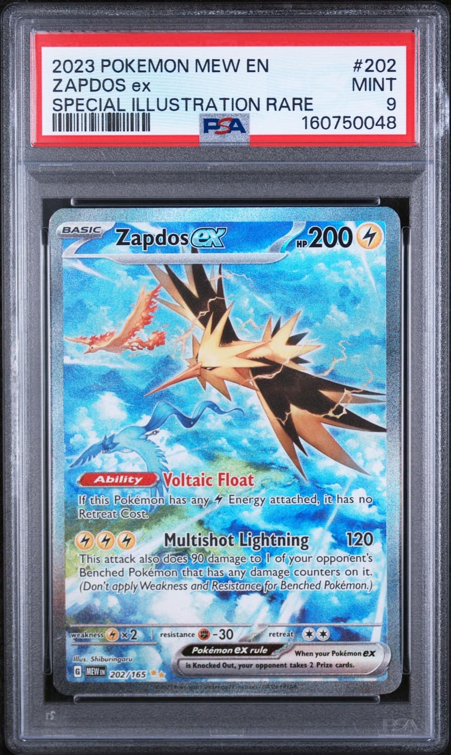 Zapdos Ex