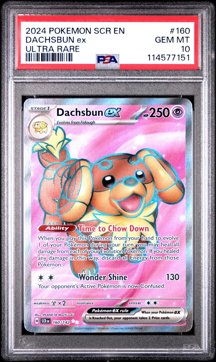 Dachsbun Ex