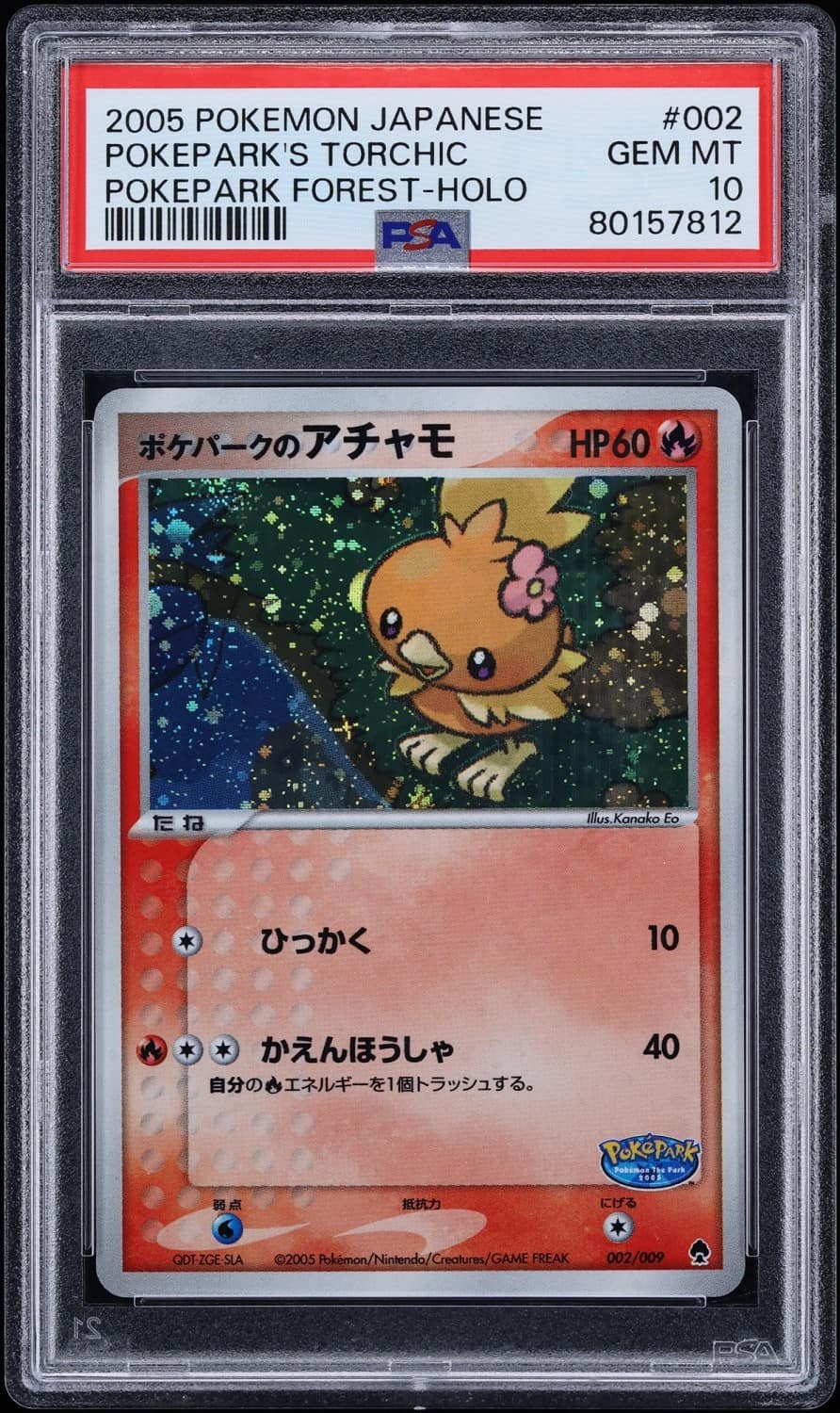 Pokepark'S Torchic