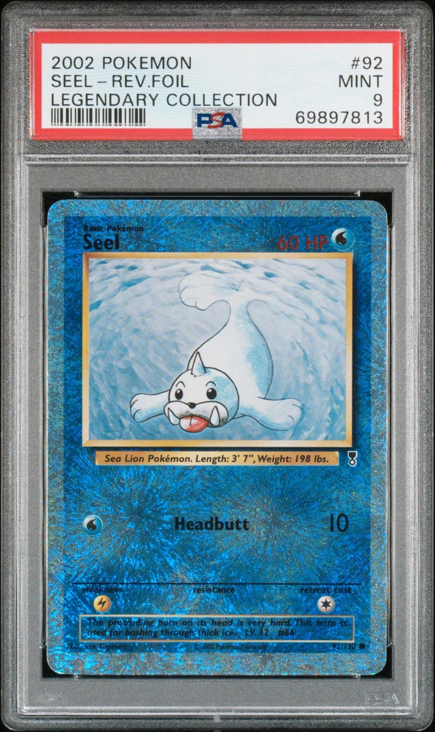 Seel