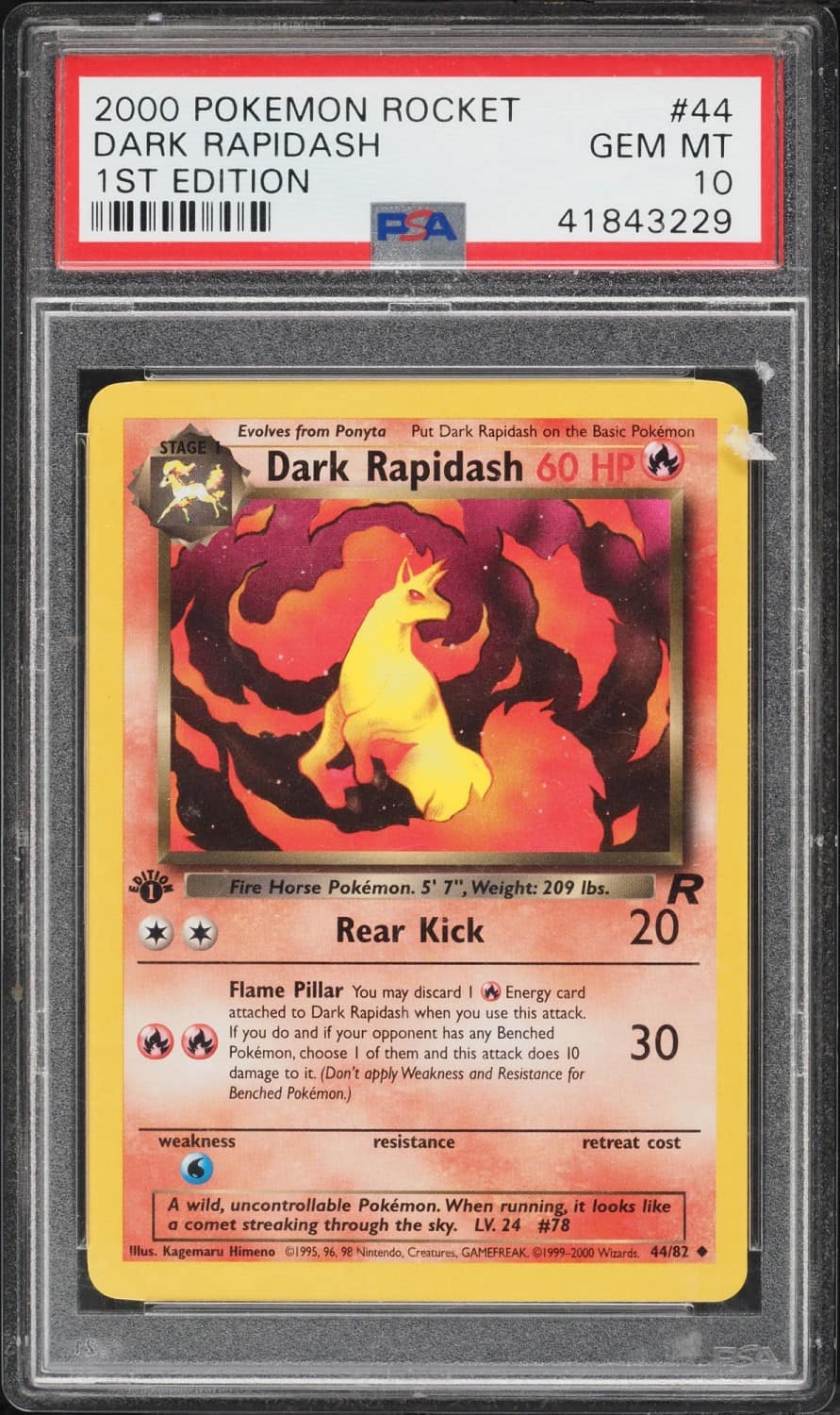 Dark Rapidash