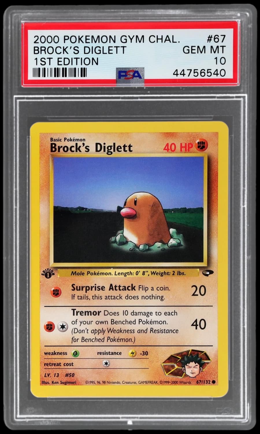Brock'S Diglett