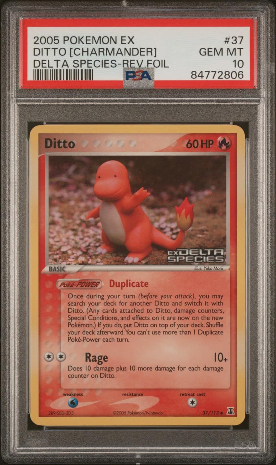 Ditto [charmander]
