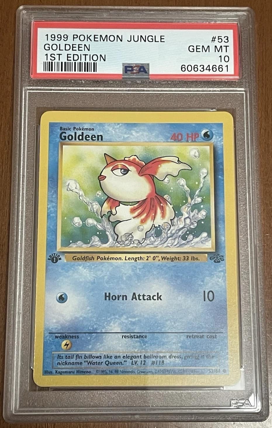 Goldeen