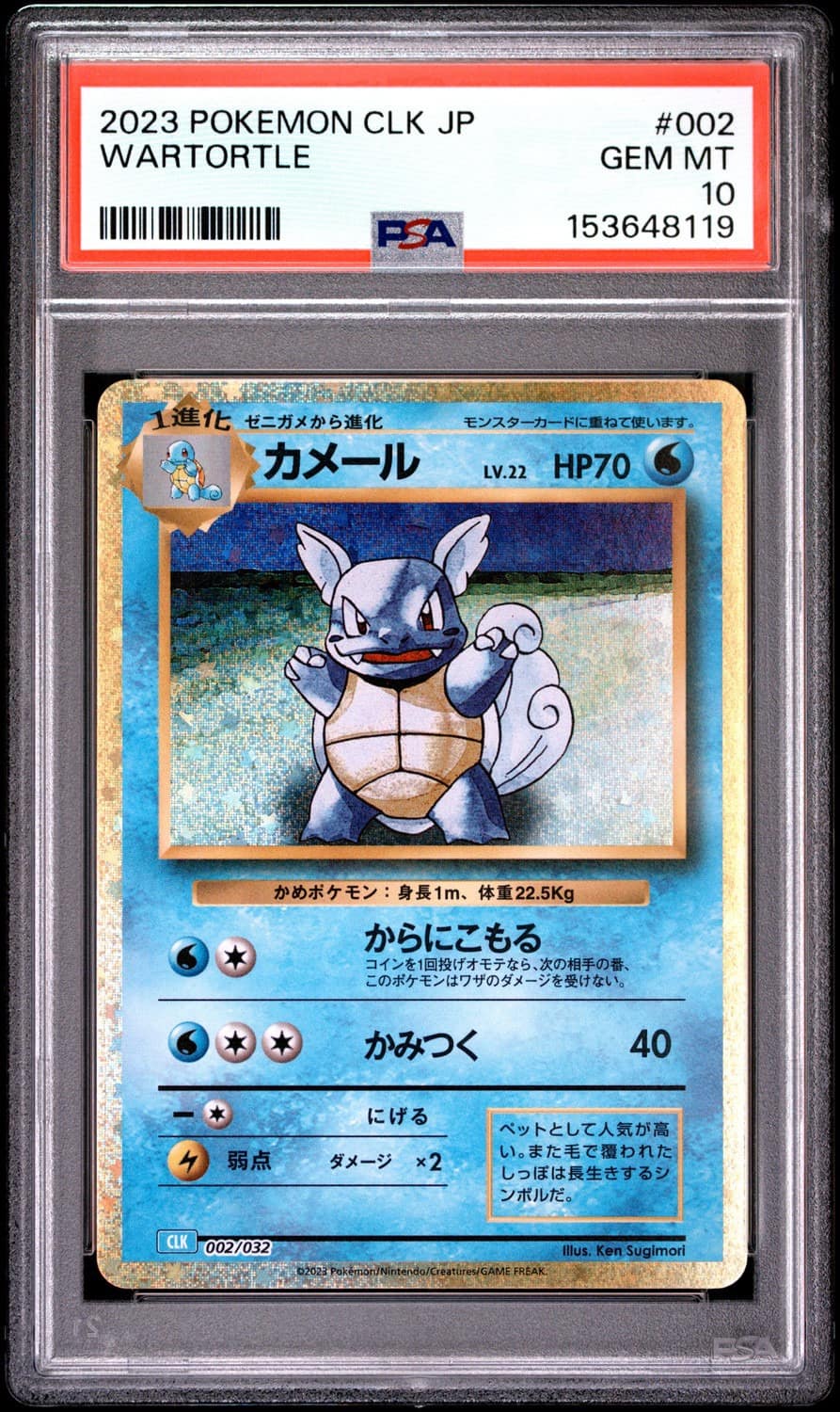 Wartortle