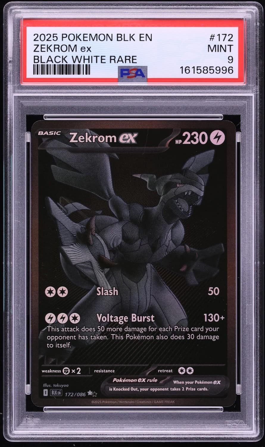 Zekrom Ex