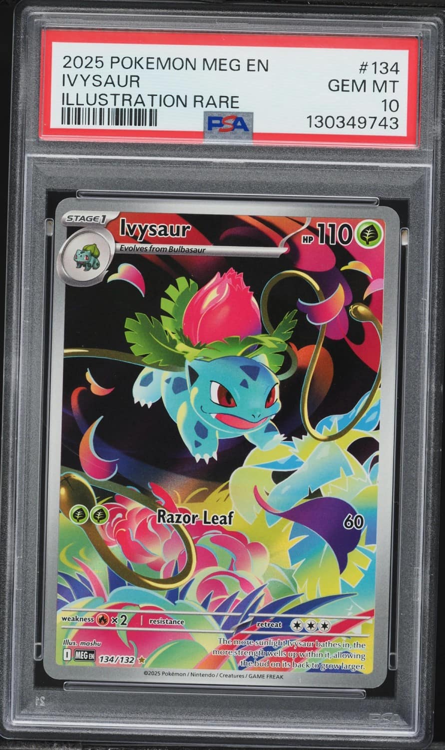 Ivysaur