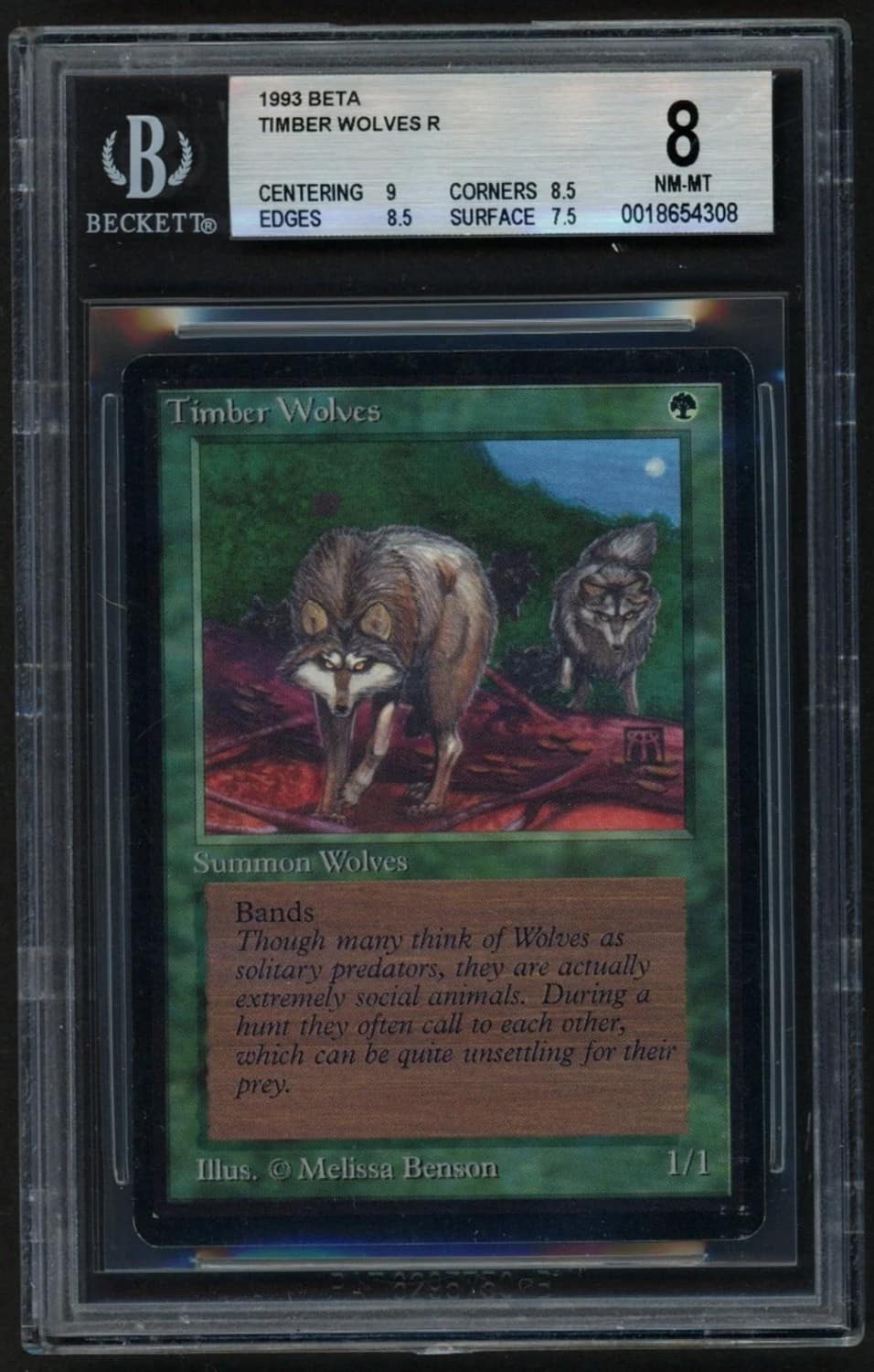 Timber Wolves