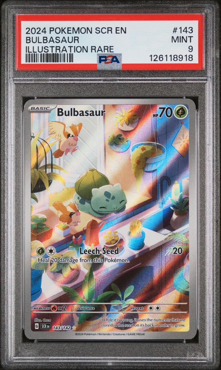 Bulbasaur
