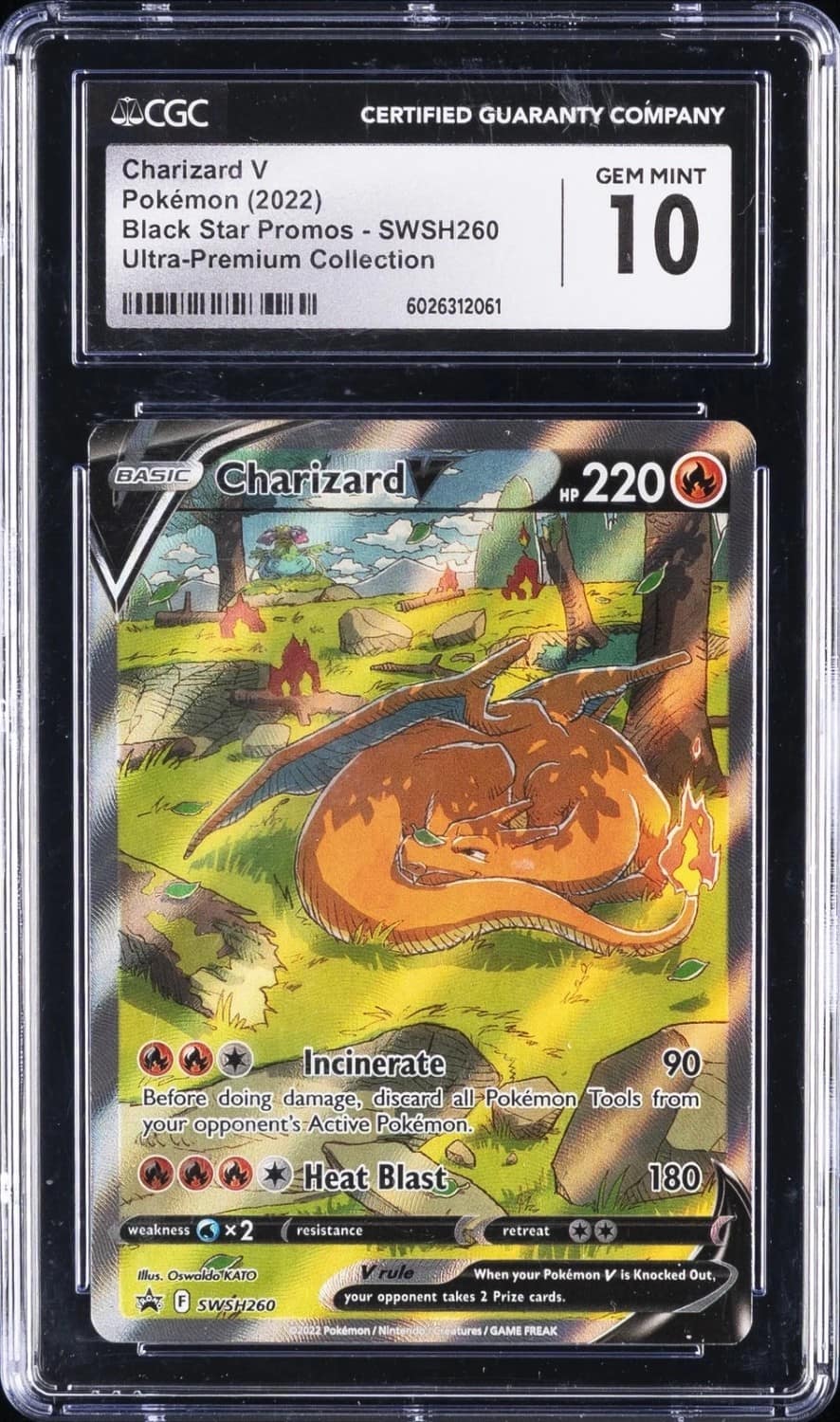 Charizard V