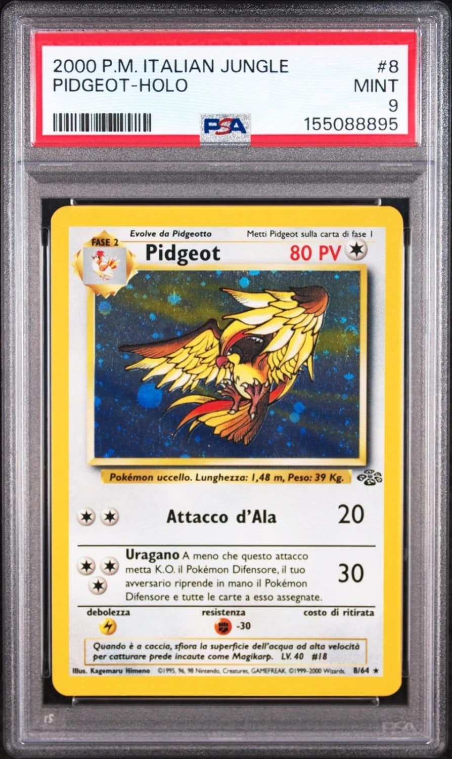 Pidgeot
