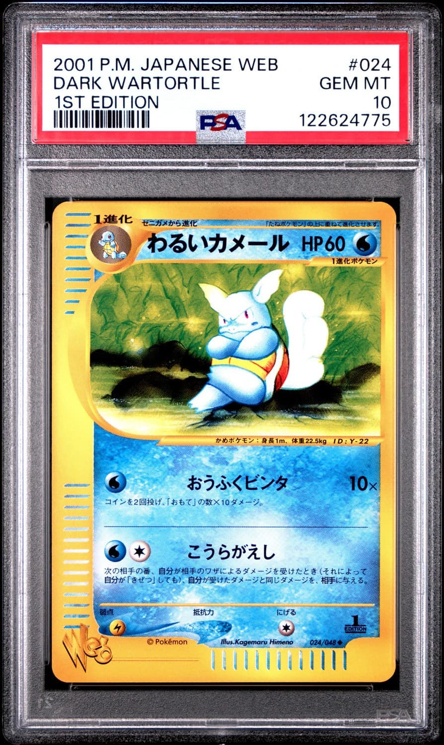 Dark Wartortle