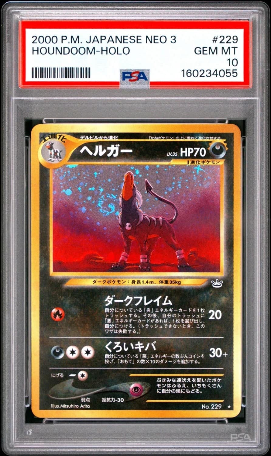 Houndoom