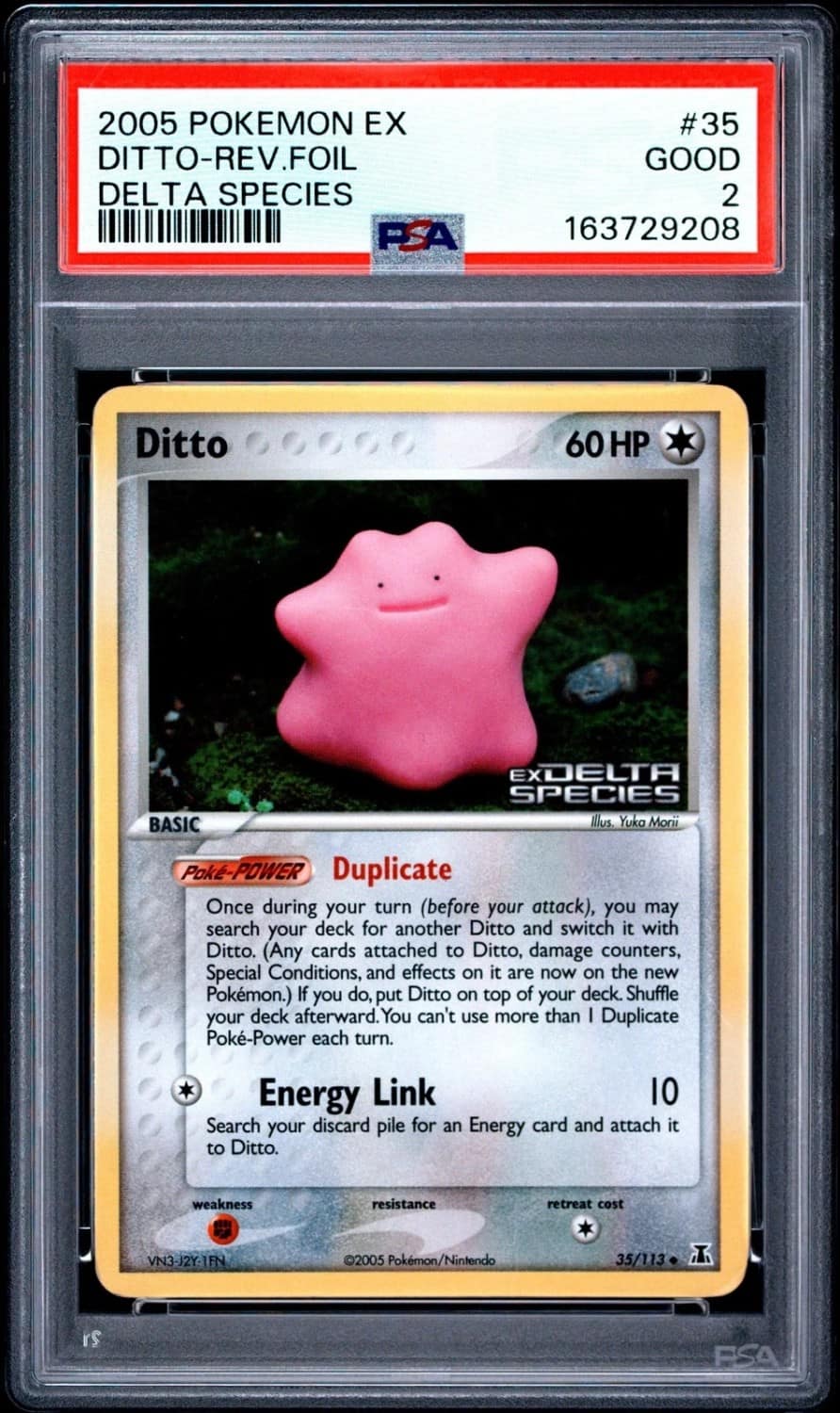 Ditto