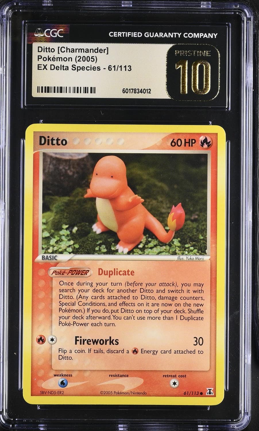 Ditto [charmander]