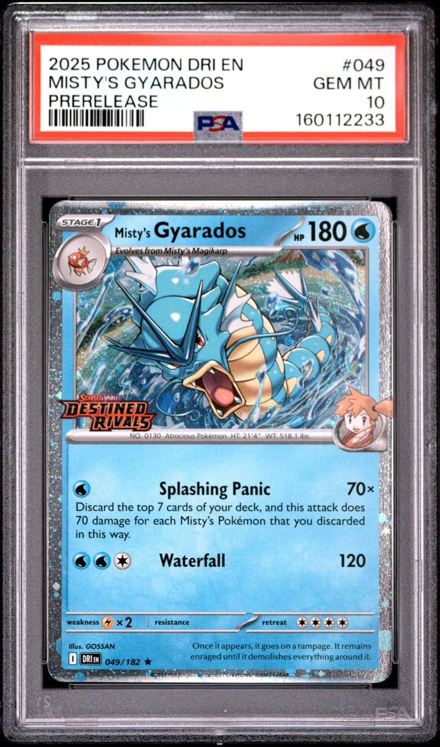 Misty'S Gyarados