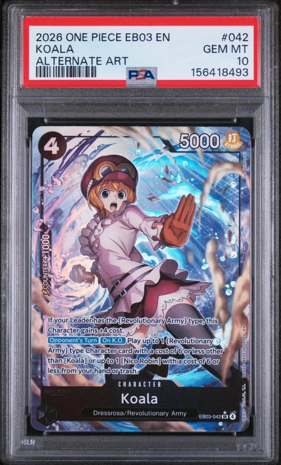 Koala