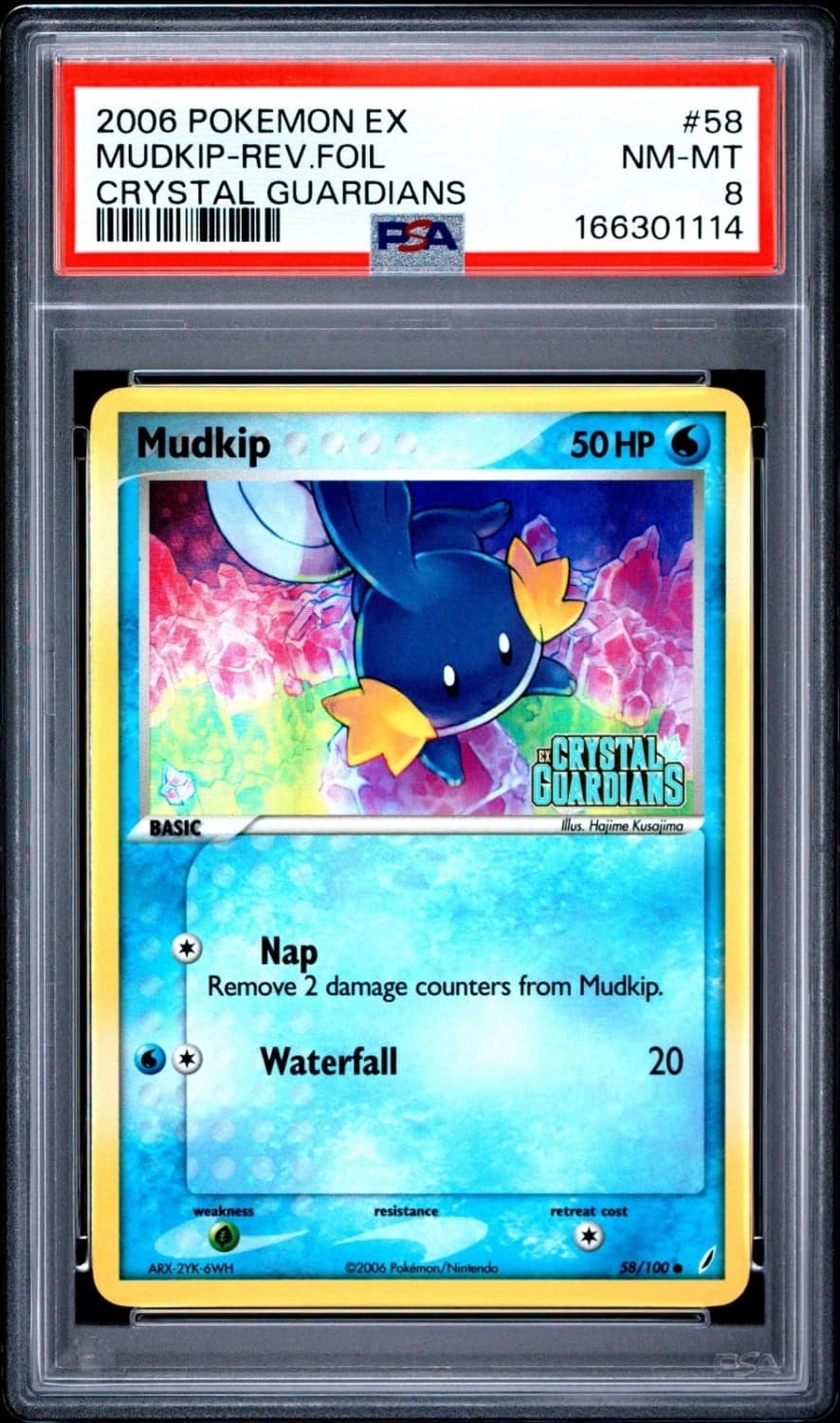 Mudkip