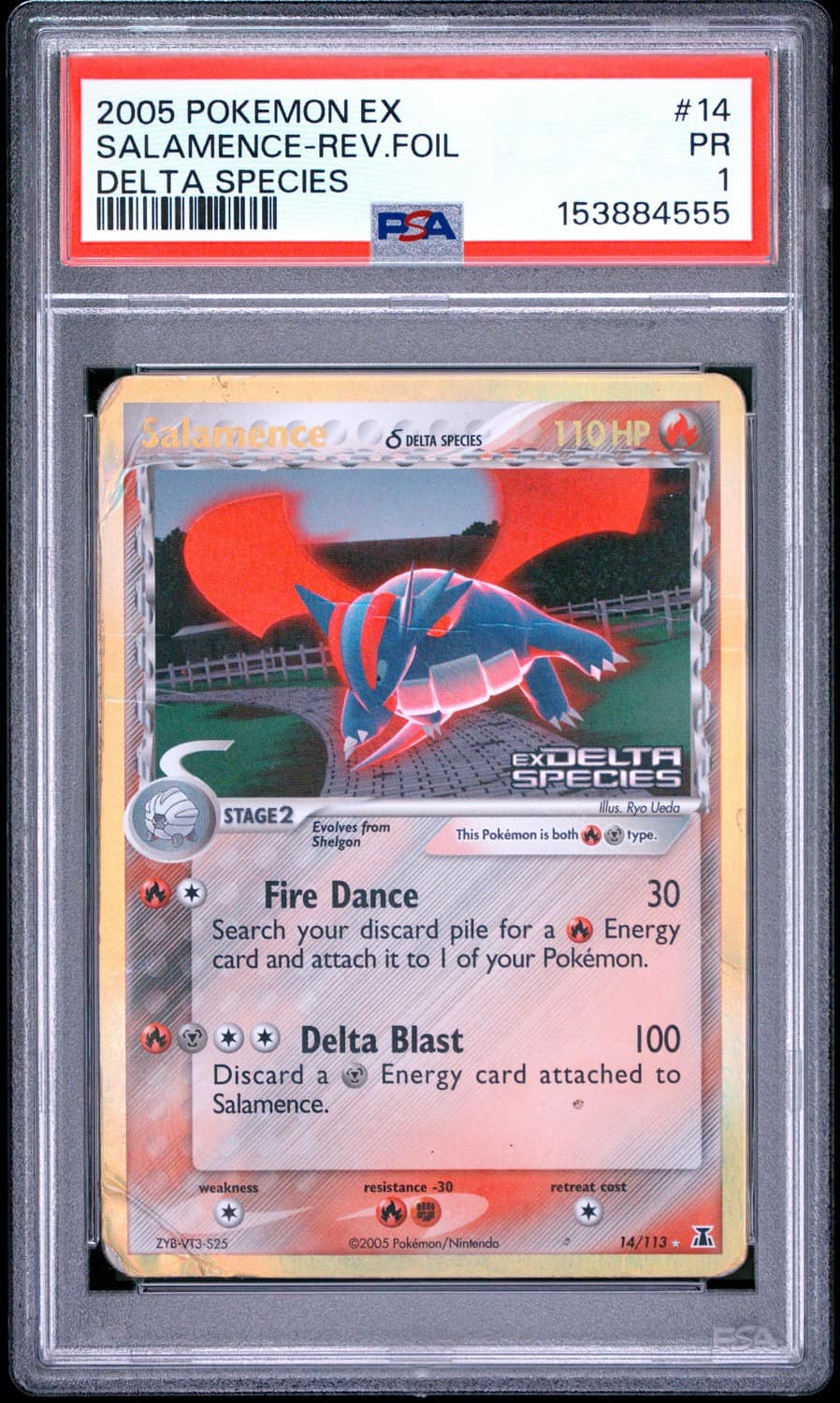 Salamence