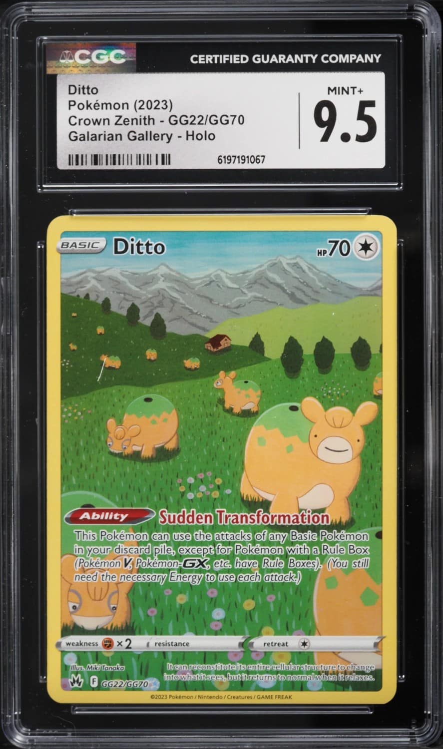 Ditto
