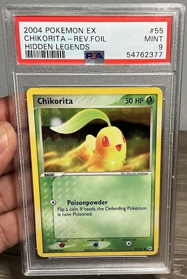 Chikorita